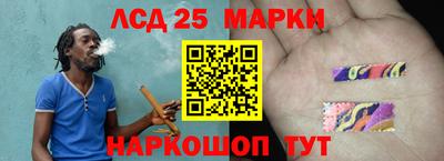 прущие грибы Можга