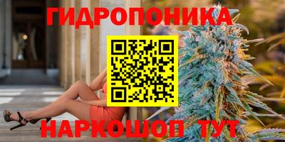 прущие грибы Можайск
