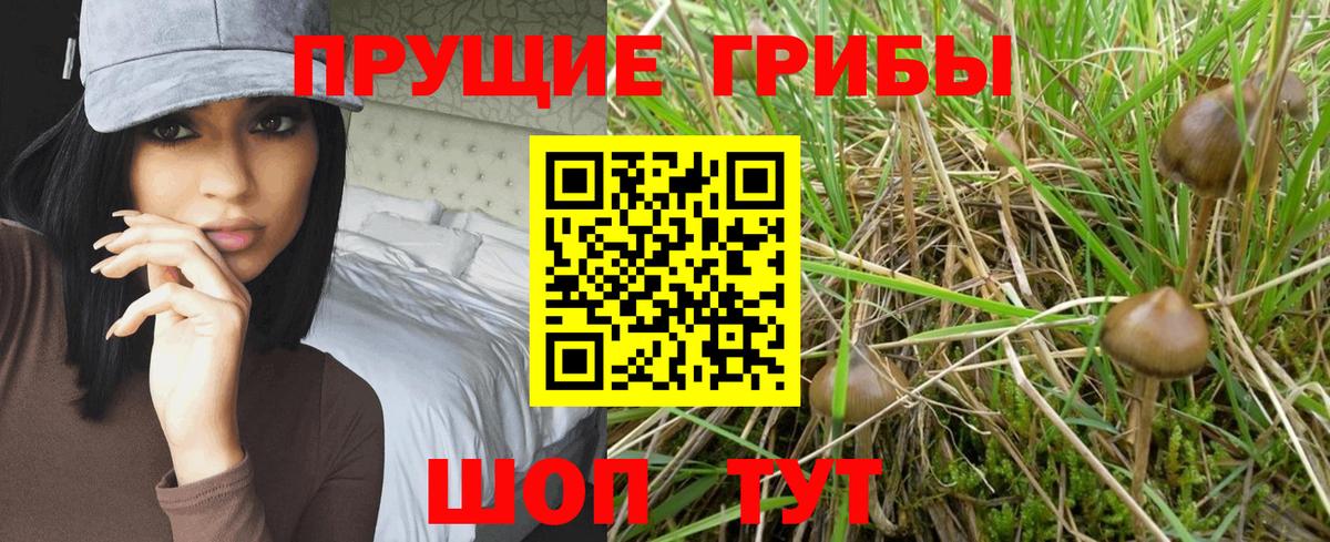 Чехов  Галлюциногенные грибы GOLDEN TEACHER  магазин    Вход с VPN  Галлюциногенные грибы Magic Shrooms 