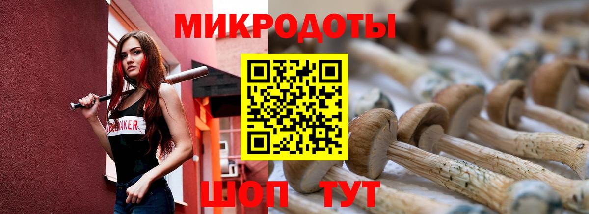 Галлюциногенные грибы Psilocybine cubensis Чехов